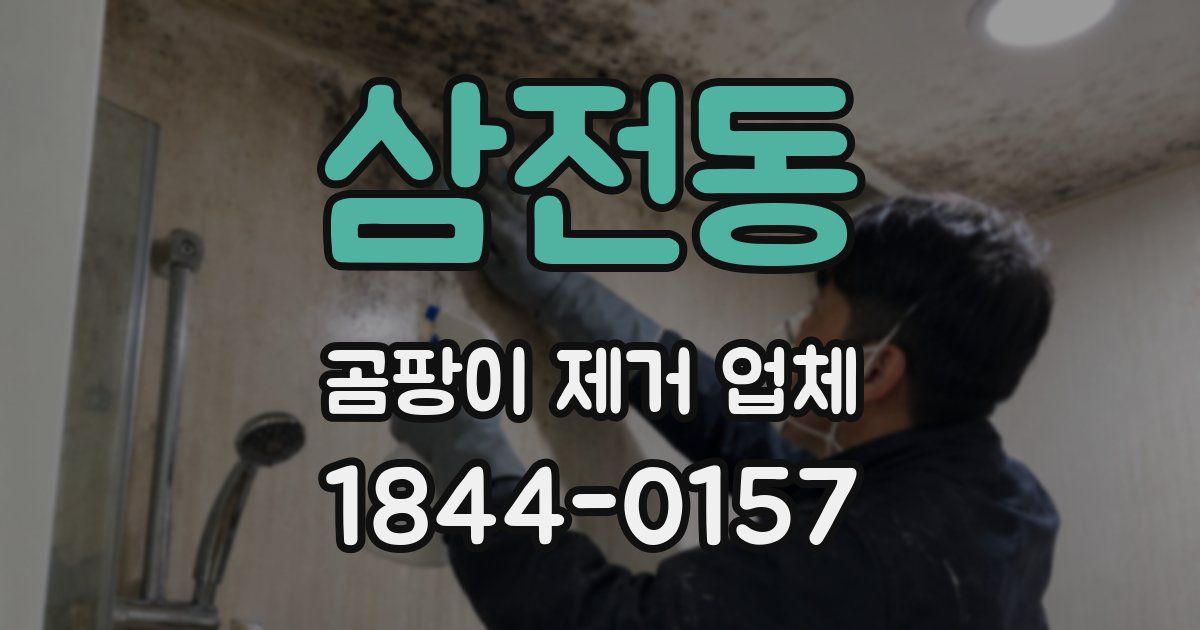 삼전동 곰팡이 제거 업체
