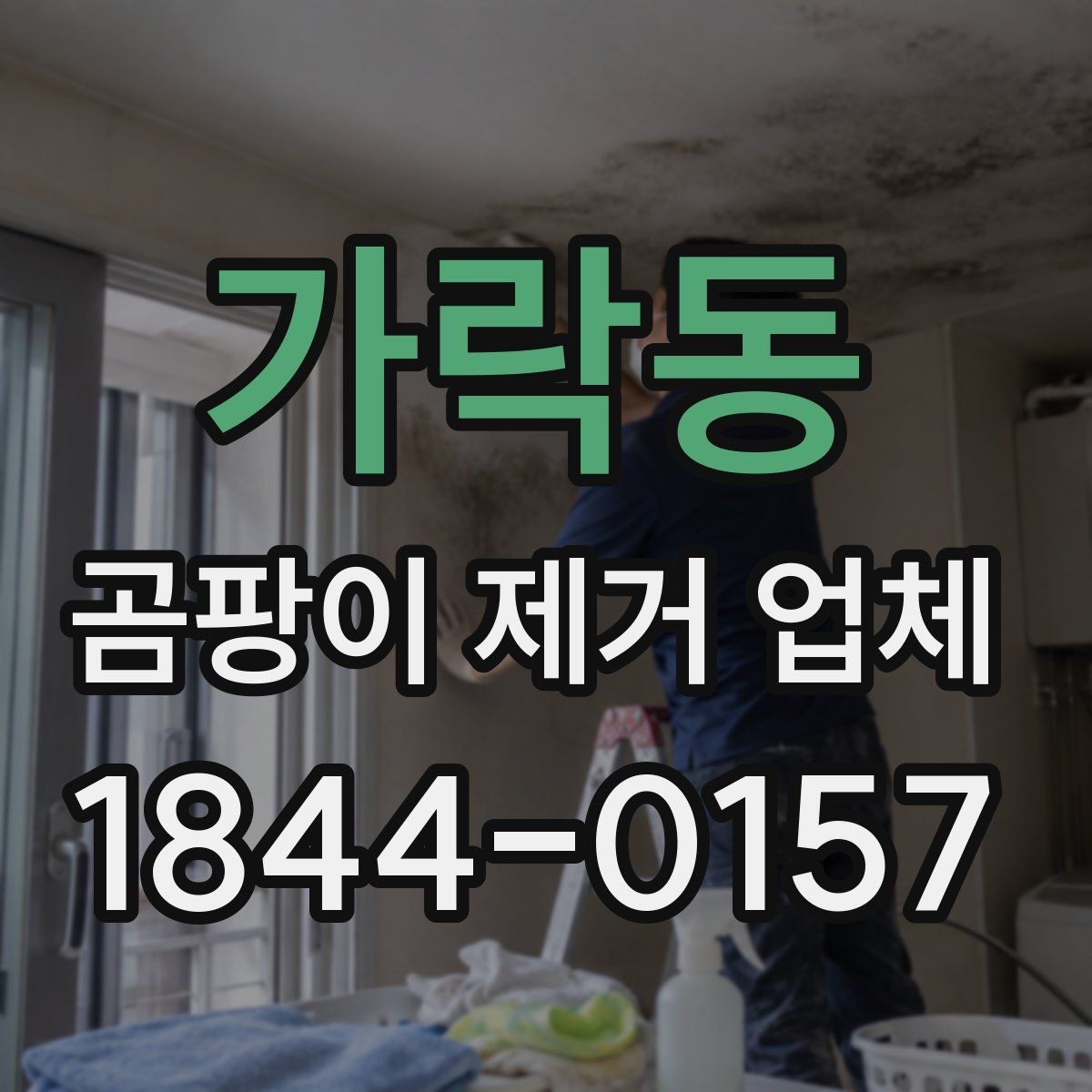 가락동 곰팡이 제거 업체 냄새 제거까지 포함되는지 상담 전에 볼 항목