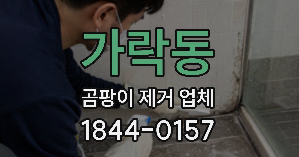 가락동 곰팡이 제거 업체