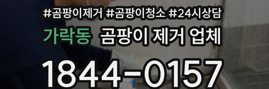가락동 곰팡이 제거 업체