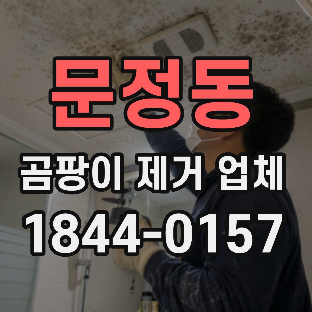 문정동 곰팡이 제거 업체