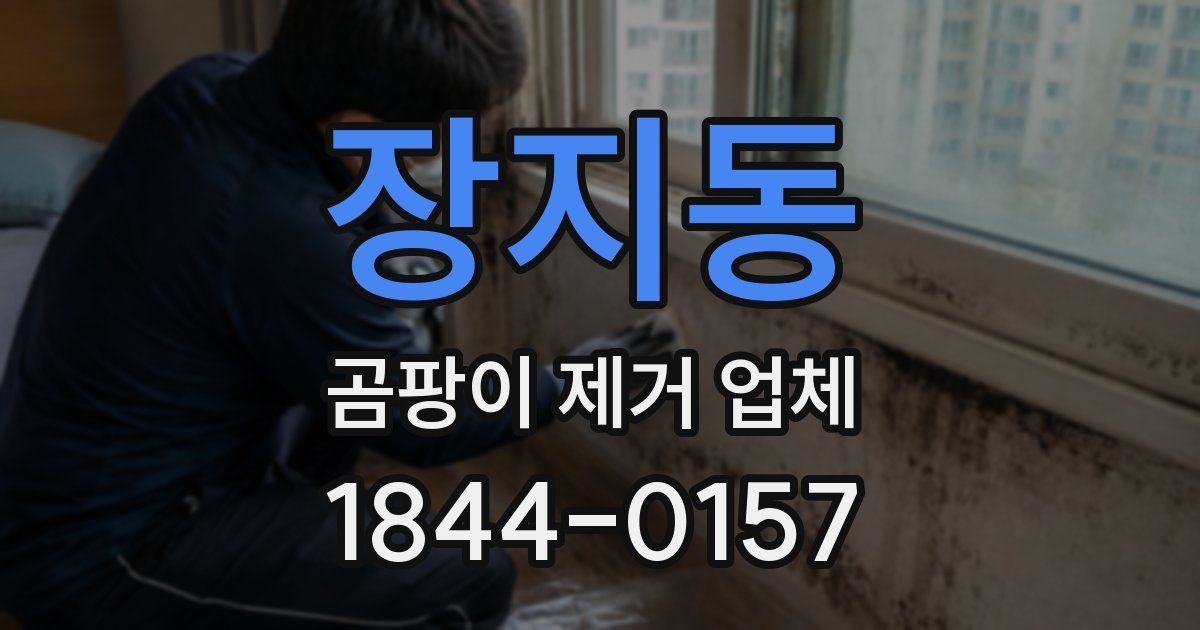 장지동 곰팡이 제거 업체