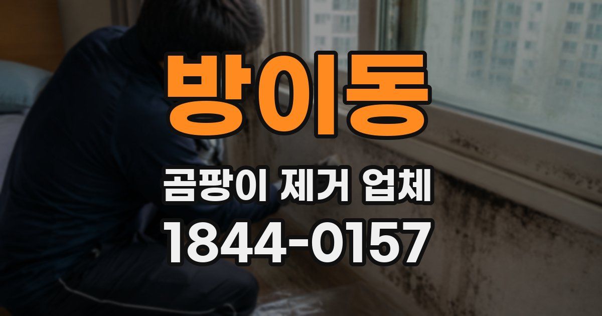 방이동 곰팡이 제거 업체