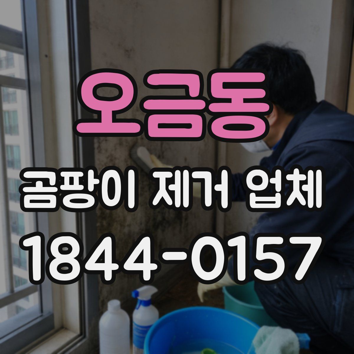 오금동 곰팡이 제거 업체