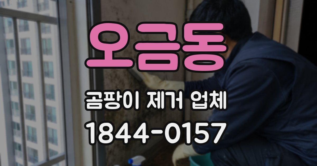 오금동 곰팡이 제거 업체