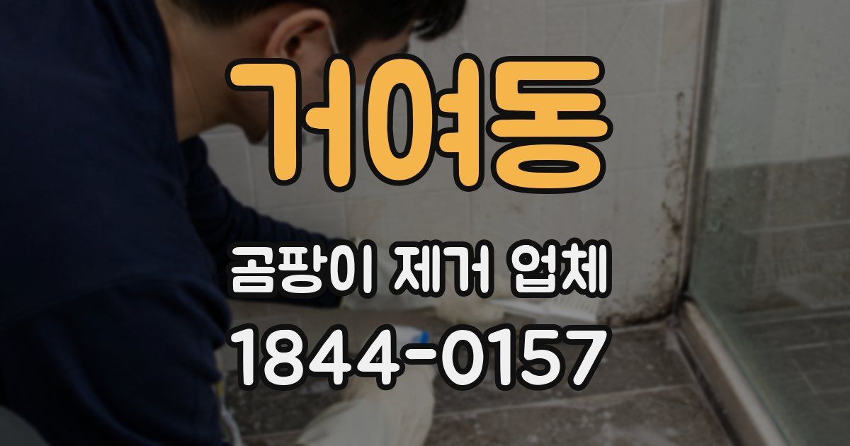 거여동 곰팡이 제거 업체
