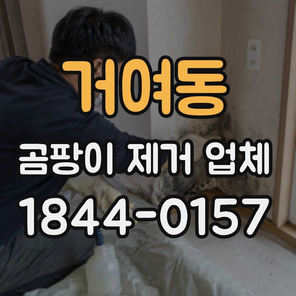 거여동 곰팡이 제거 업체