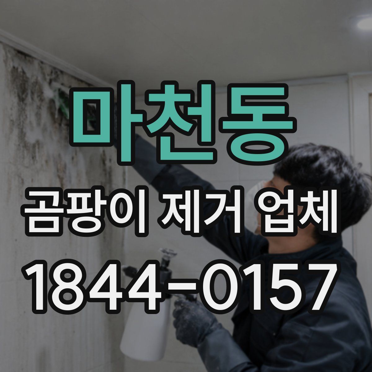 마천동 곰팡이 제거 업체
