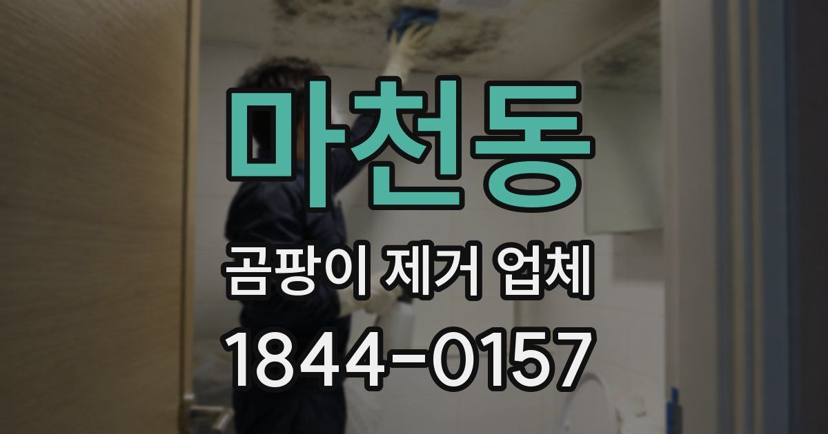 마천동 곰팡이 제거 업체