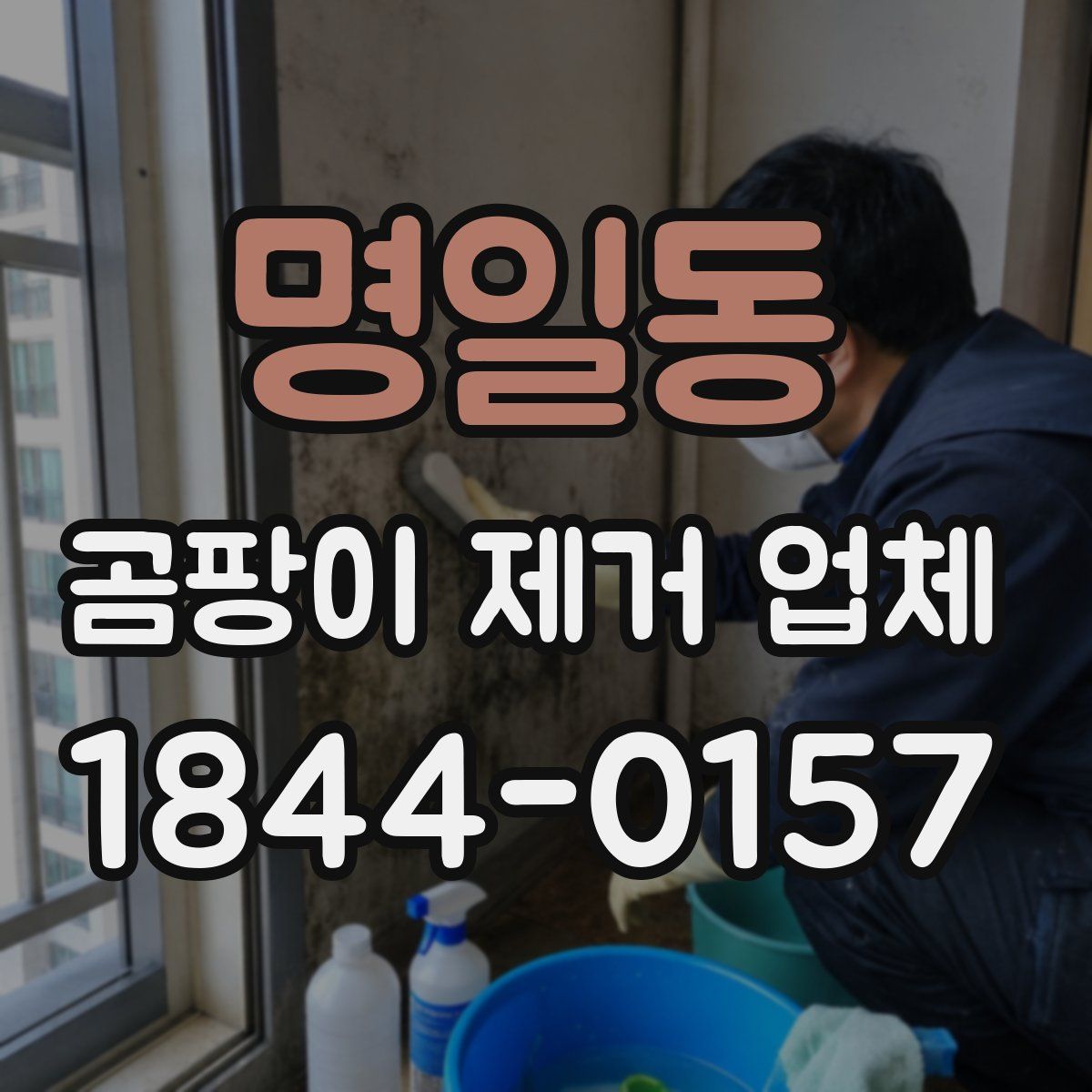 명일동 곰팡이 제거 업체