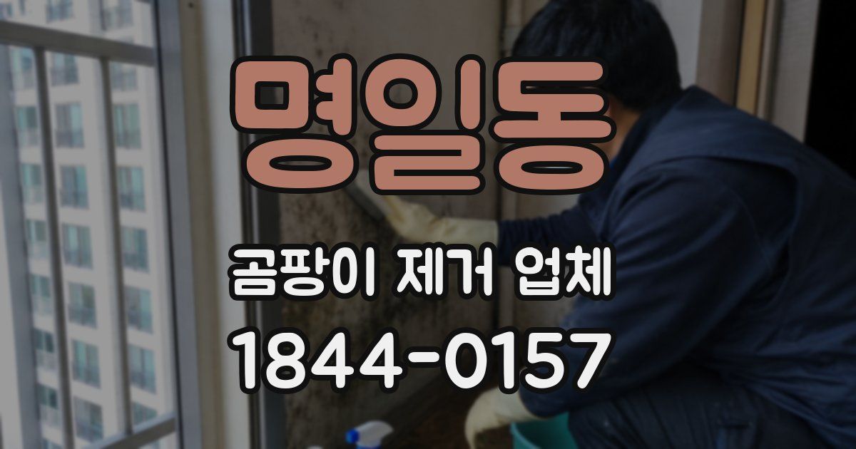 명일동 곰팡이 제거 업체