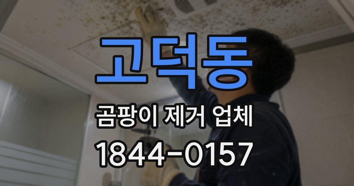 고덕동 곰팡이 제거 업체