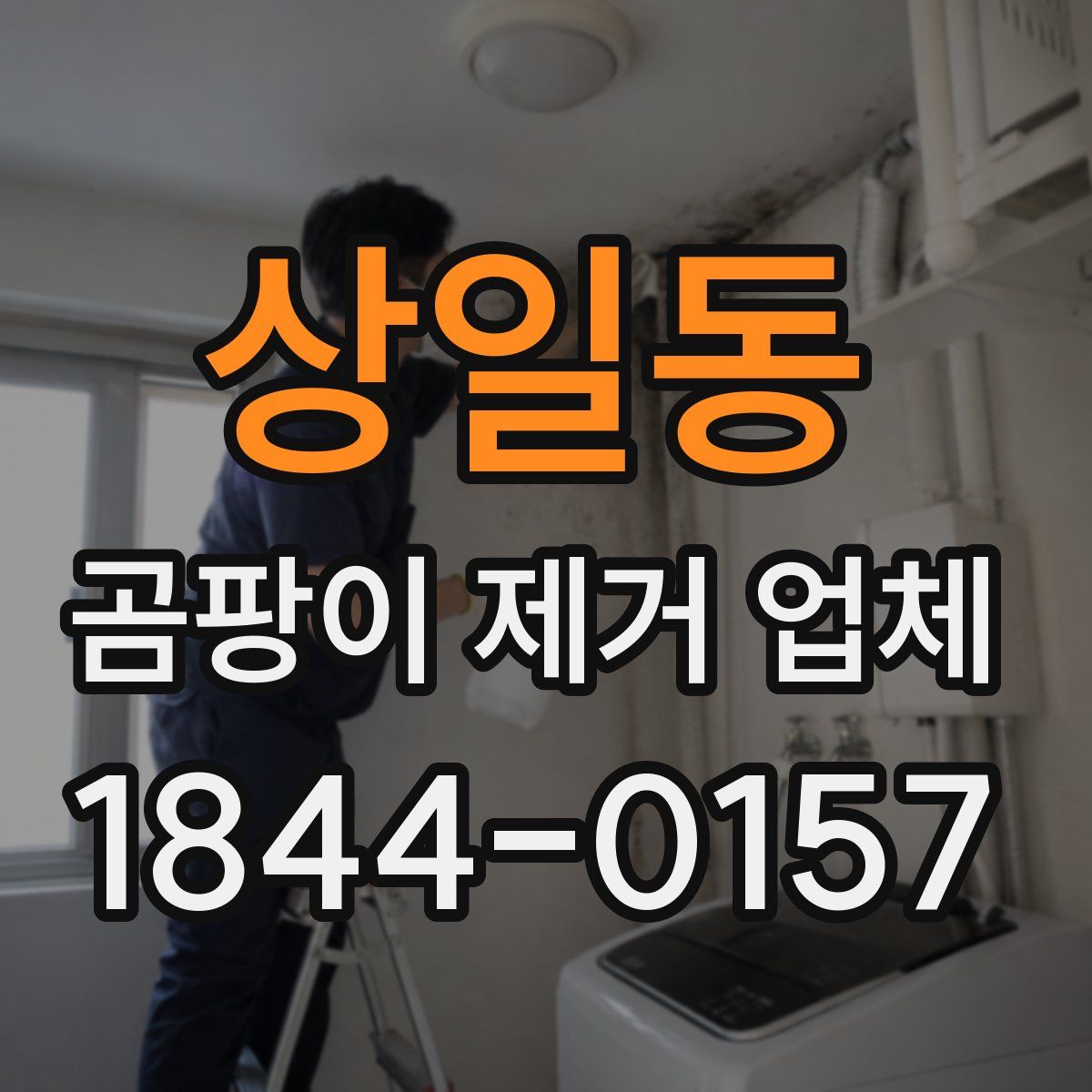 상일동 곰팡이 제거 업체