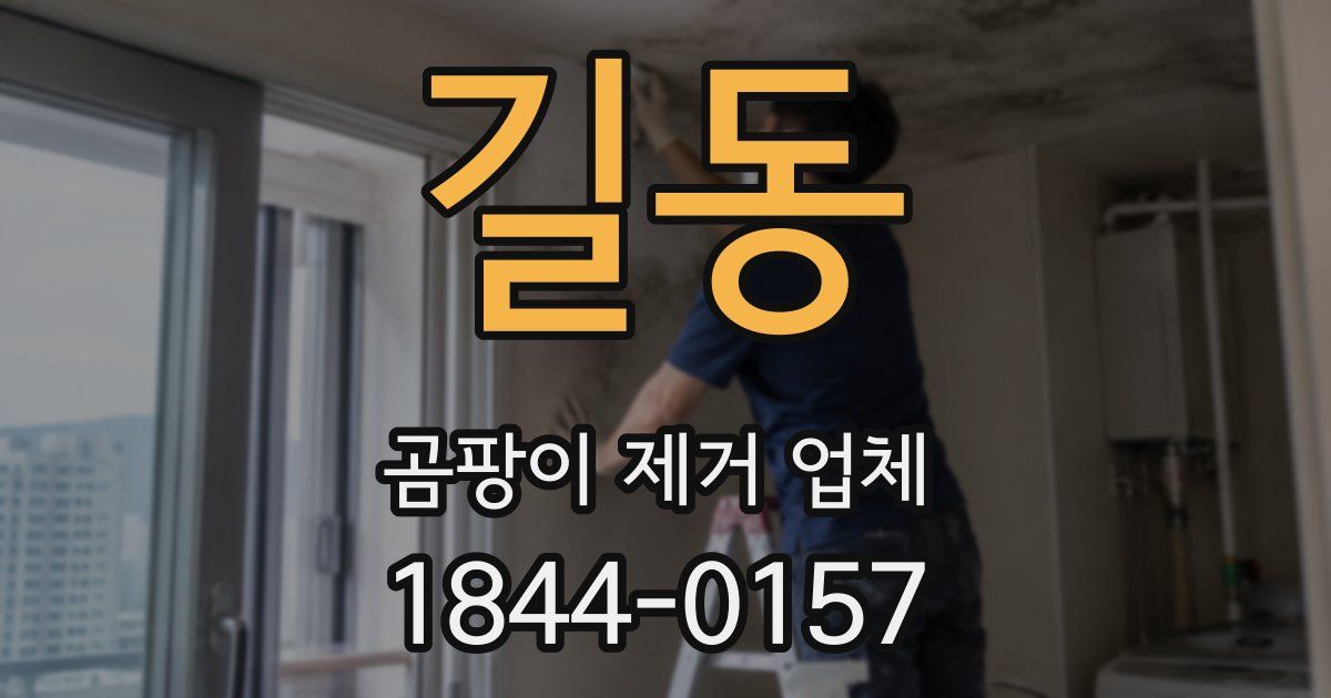 길동 곰팡이 제거 업체