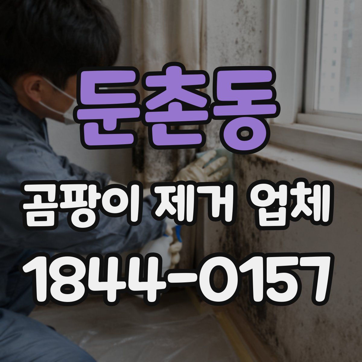 둔촌동 곰팡이 제거 업체
