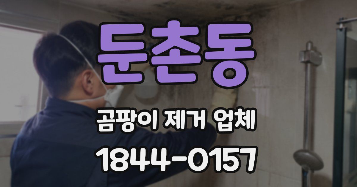 둔촌동 곰팡이 제거 업체