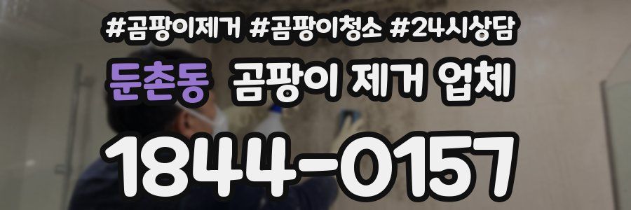 둔촌동 곰팡이 제거 업체