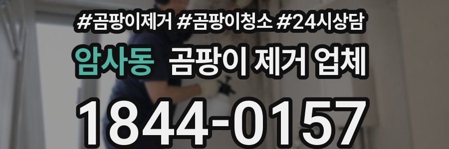 암사동 곰팡이 제거 업체