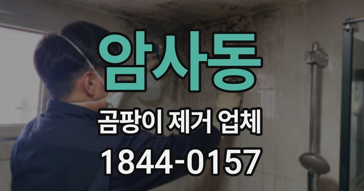 암사동 곰팡이 제거 업체