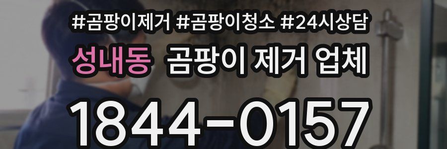 성내동 곰팡이 제거 업체