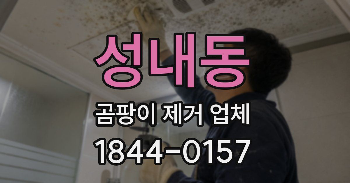 성내동 곰팡이 제거 업체