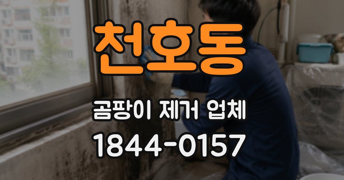 천호동 곰팡이 제거 업체