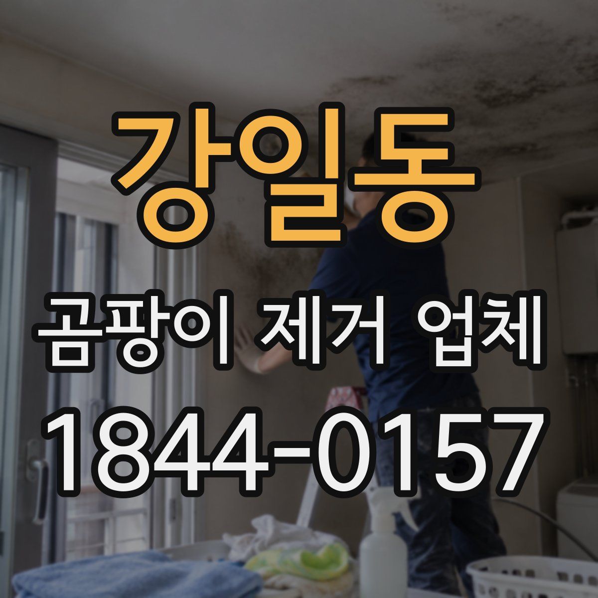 강일동 곰팡이 제거 업체