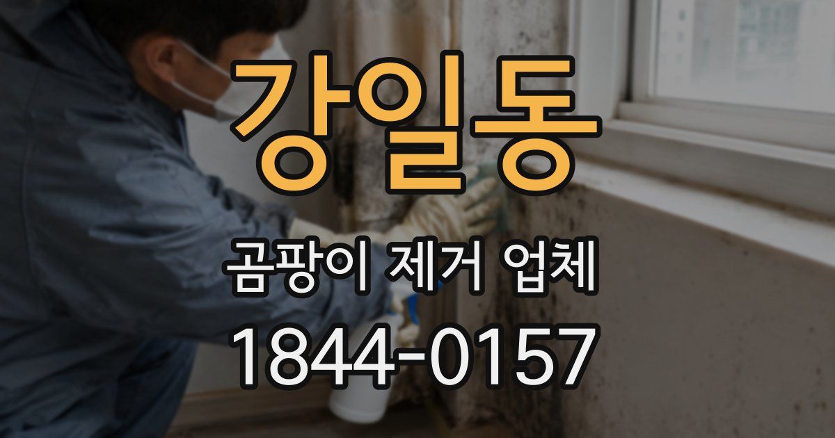 강일동 곰팡이 제거 업체