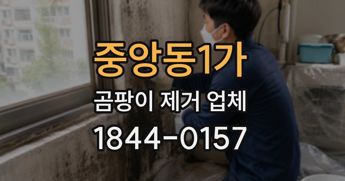중앙동1가 곰팡이 제거 업체