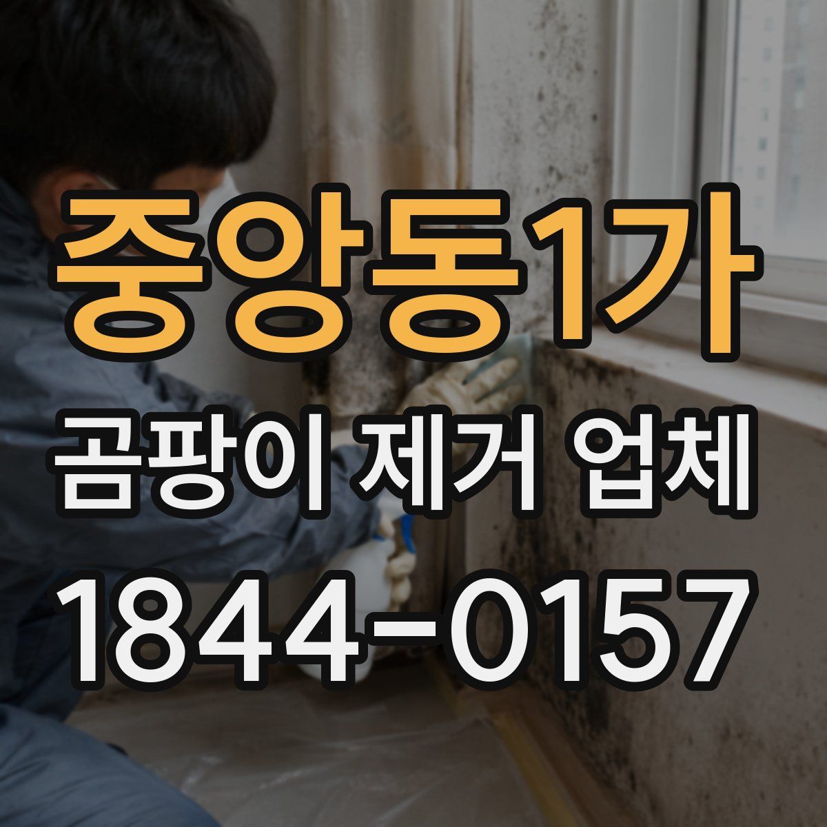 중앙동1가 곰팡이 제거 업체