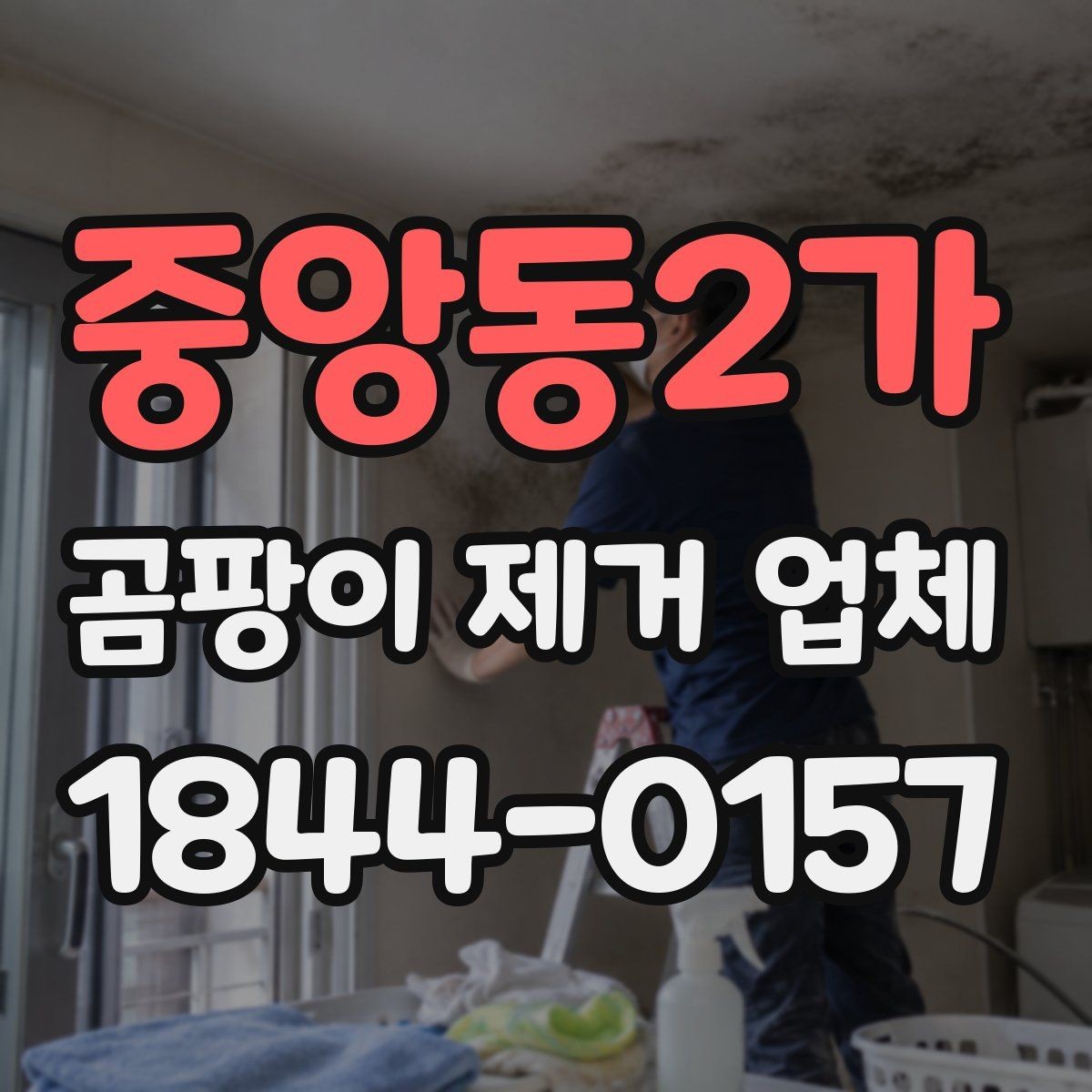 중앙동2가 곰팡이 제거 업체 장마철 실내 오염이 급증할 때 대응하는 방법