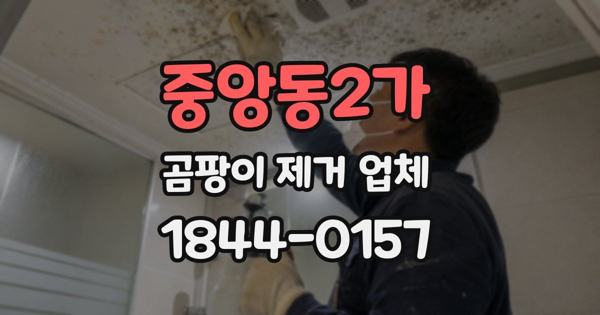 중앙동2가 곰팡이 제거 업체