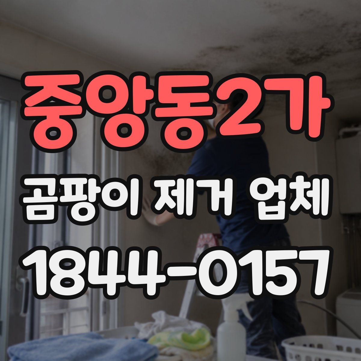 중앙동2가 곰팡이 제거 업체