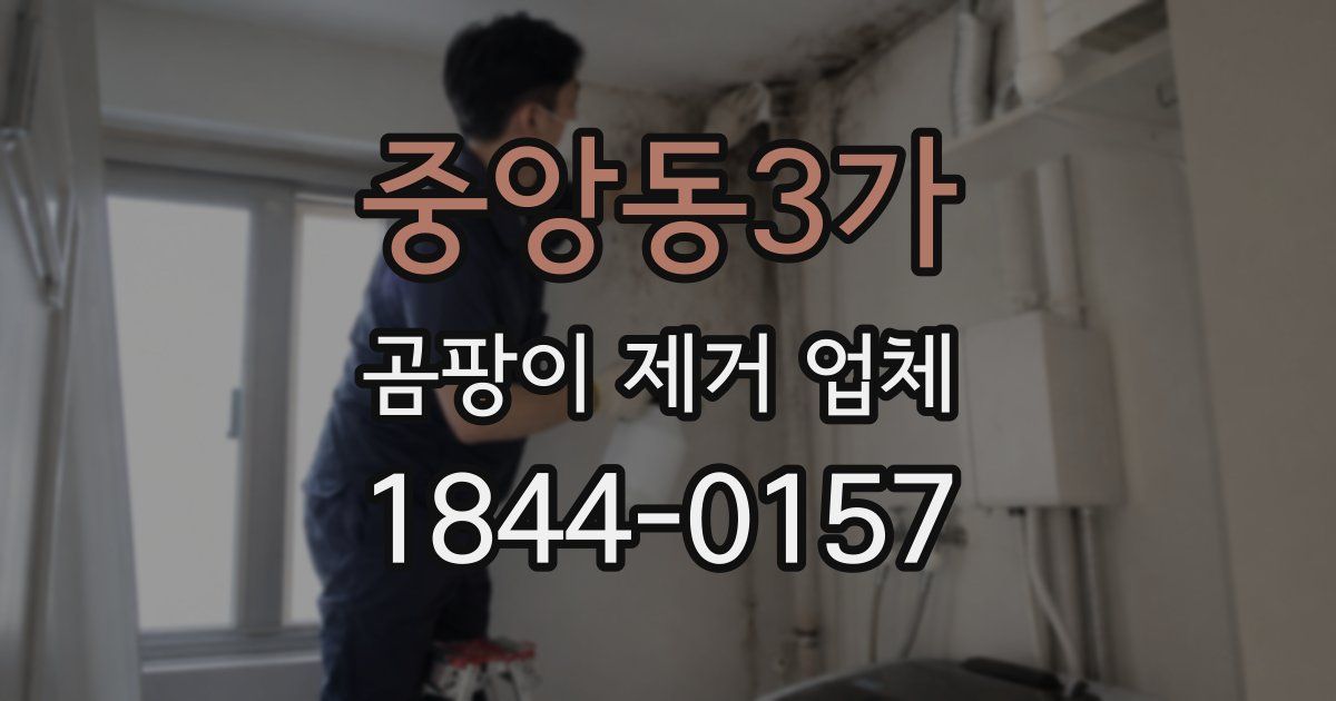 중앙동3가 곰팡이 제거 업체