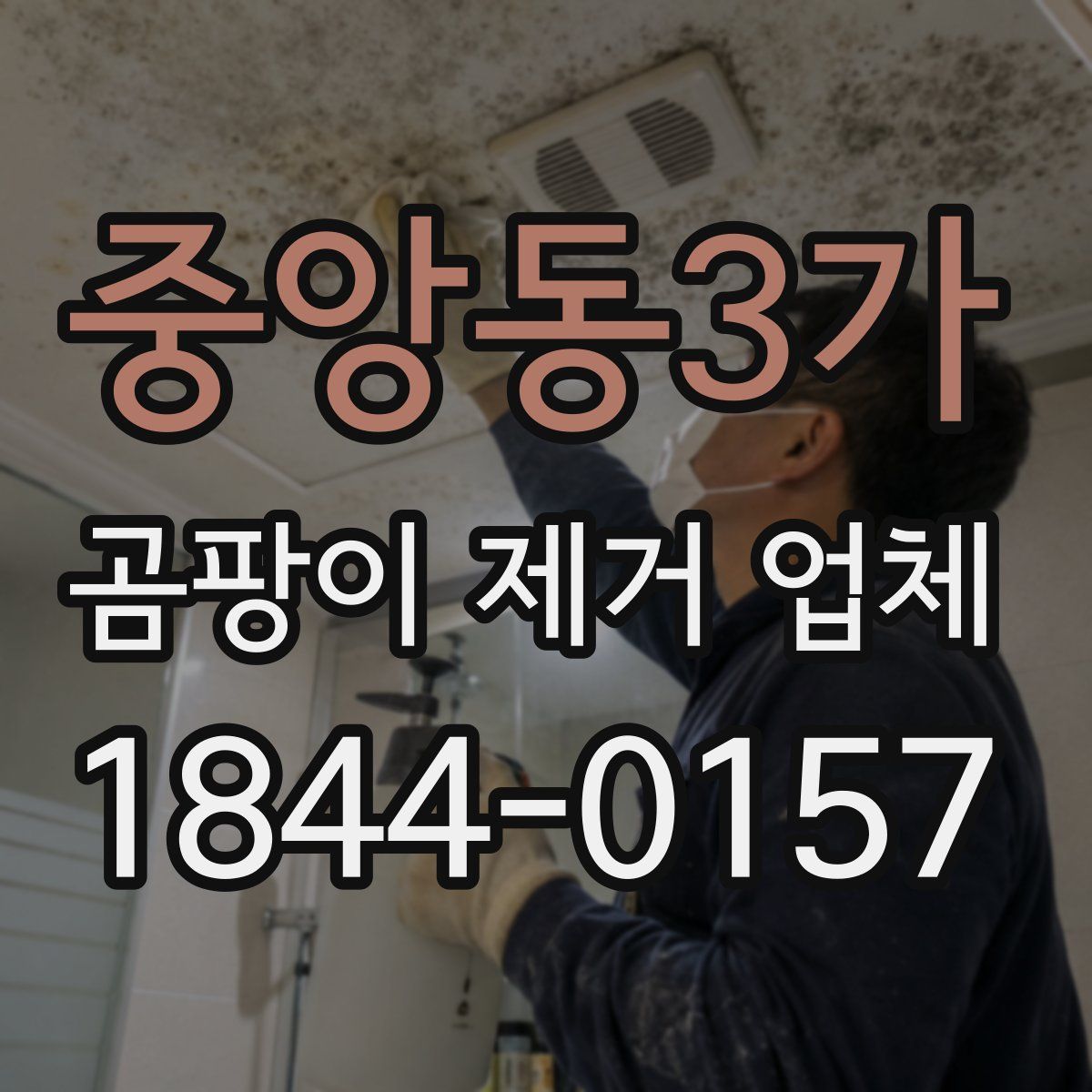 중앙동3가 곰팡이 제거 업체