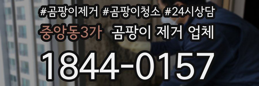 중앙동3가 곰팡이 제거 업체