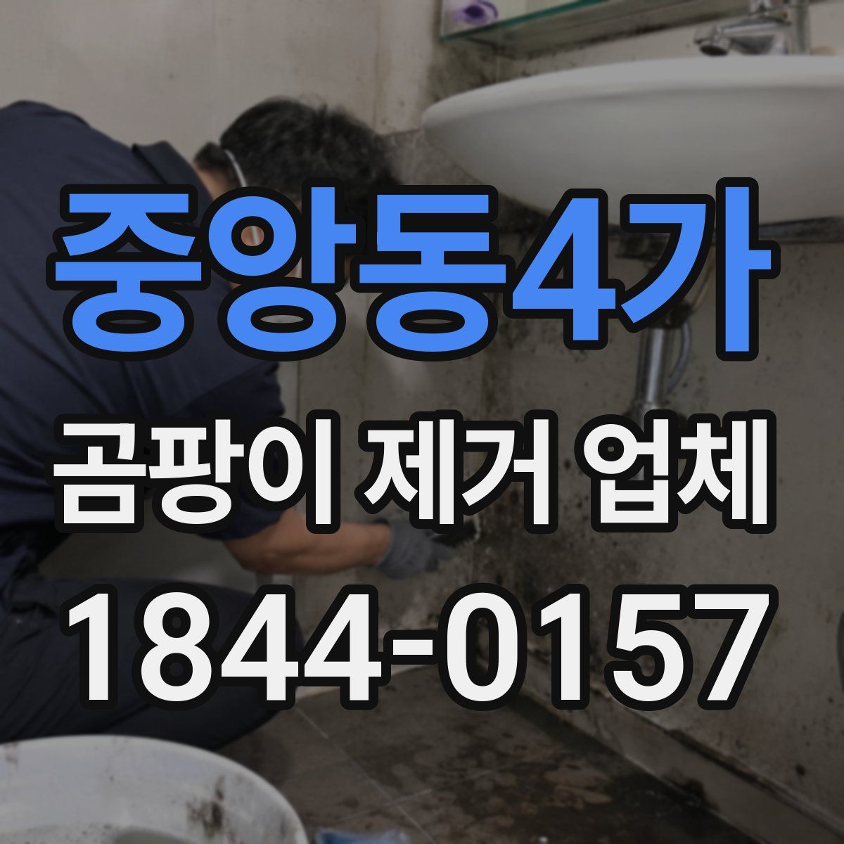 중앙동4가 곰팡이 제거 업체