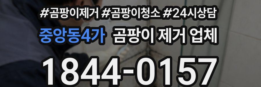 중앙동4가 곰팡이 제거 업체