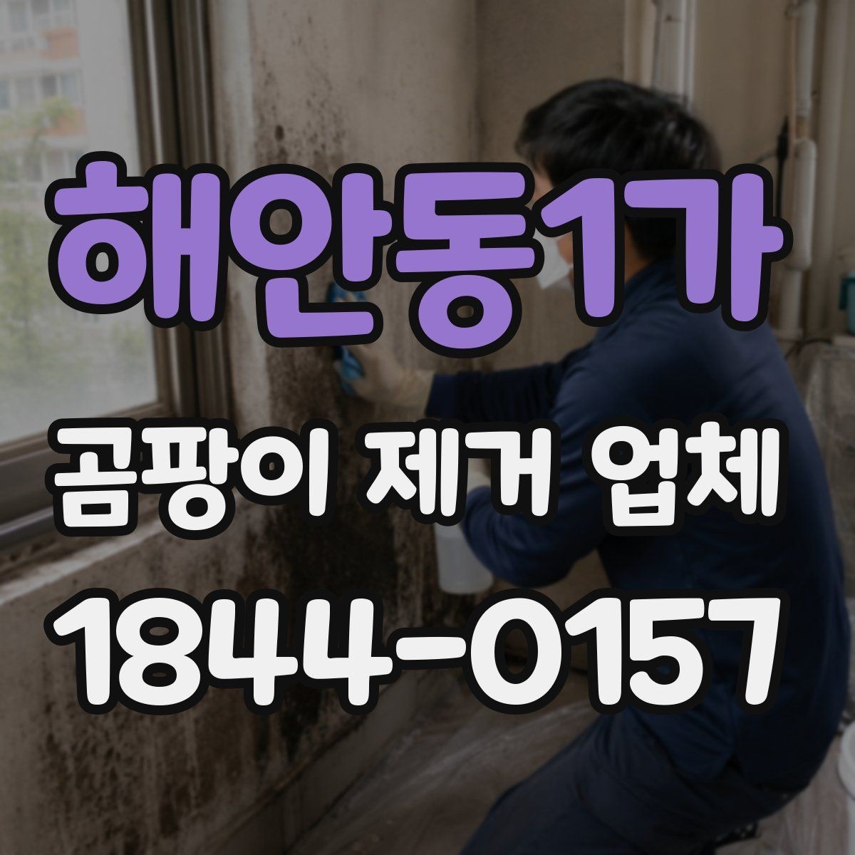 해안동1가 곰팡이 제거 업체 세대별 오염 확산 경로를 추적하는 점검법