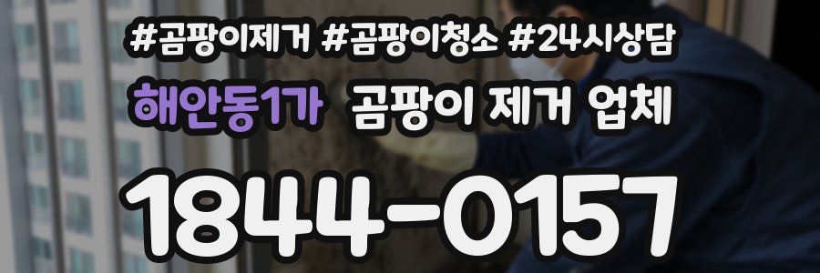 해안동1가 곰팡이 제거 업체