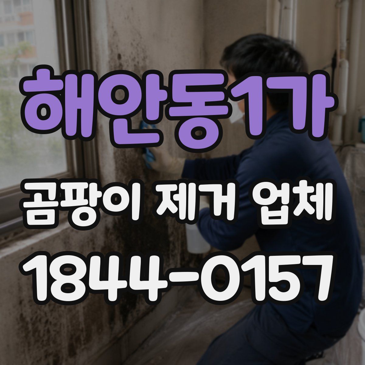 해안동1가 곰팡이 제거 업체
