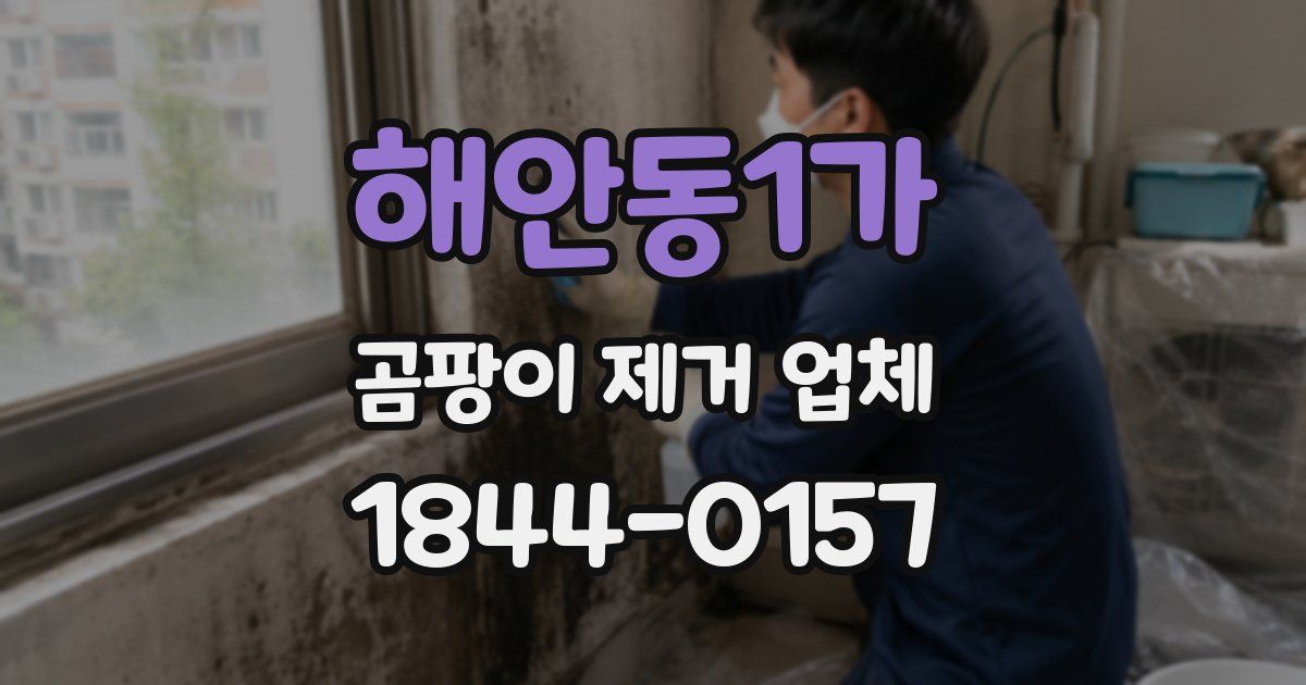해안동1가 곰팡이 제거 업체