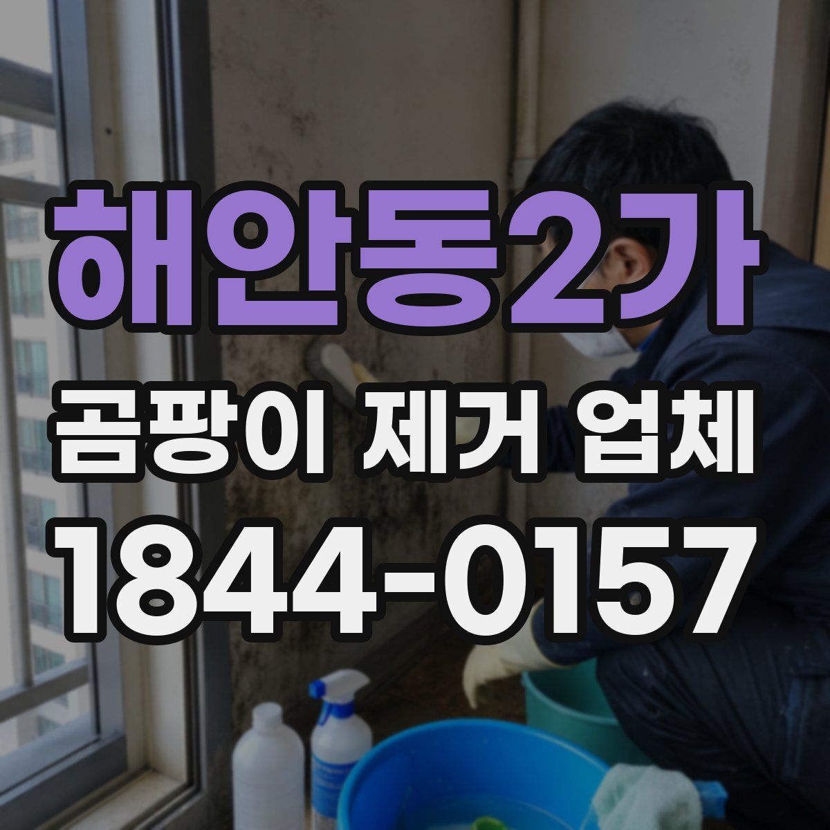 해안동2가 곰팡이 제거 업체