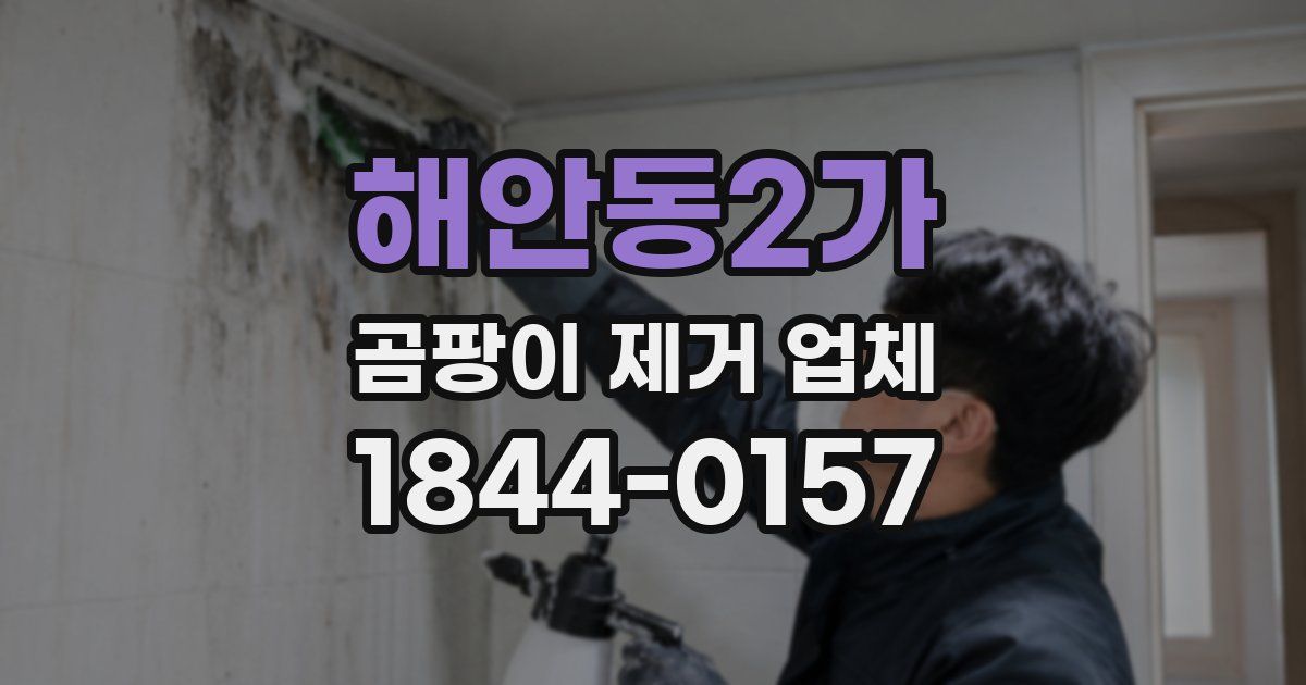 해안동2가 곰팡이 제거 업체