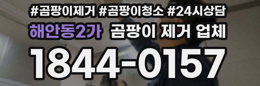 해안동2가 곰팡이 제거 업체