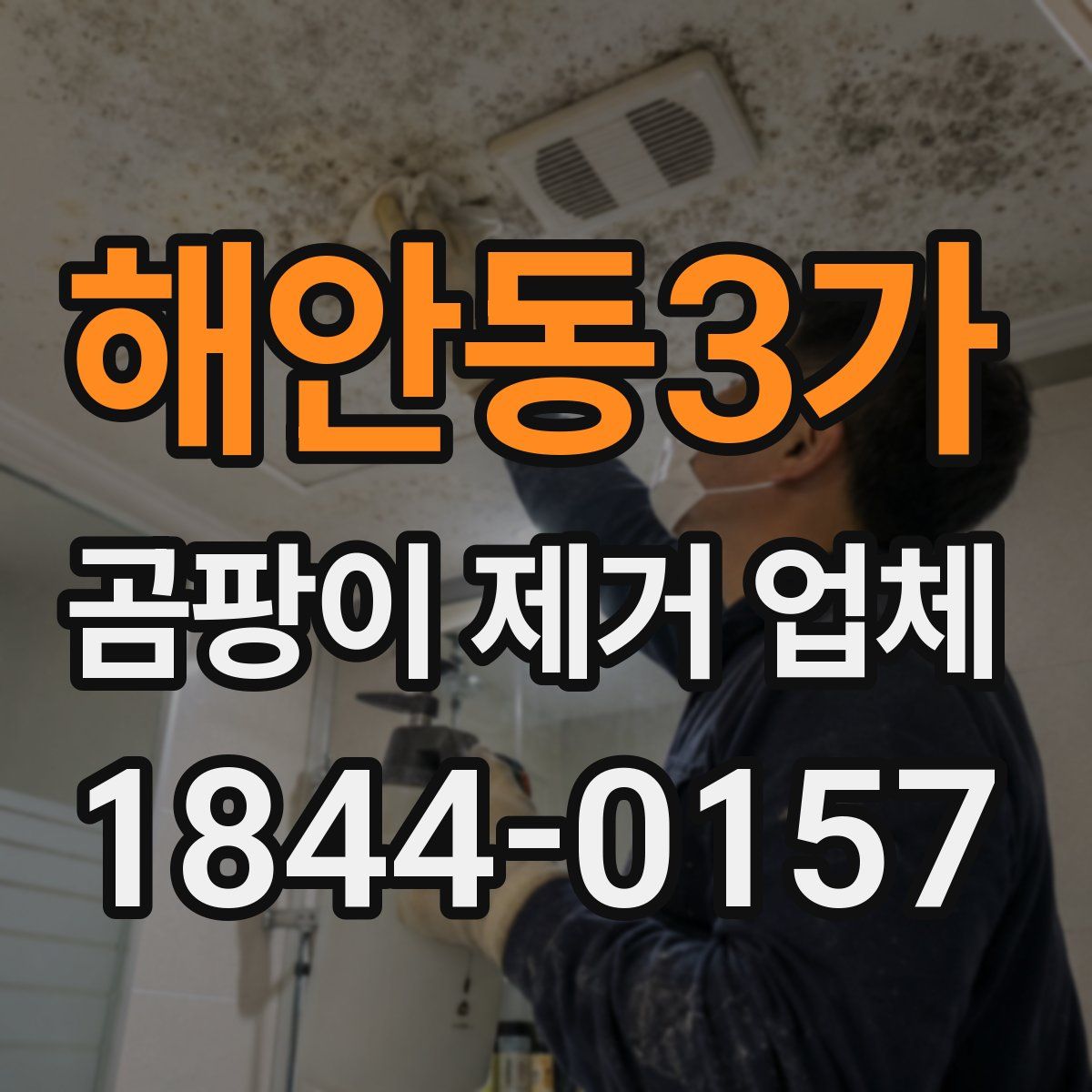 해안동3가 곰팡이 제거 업체