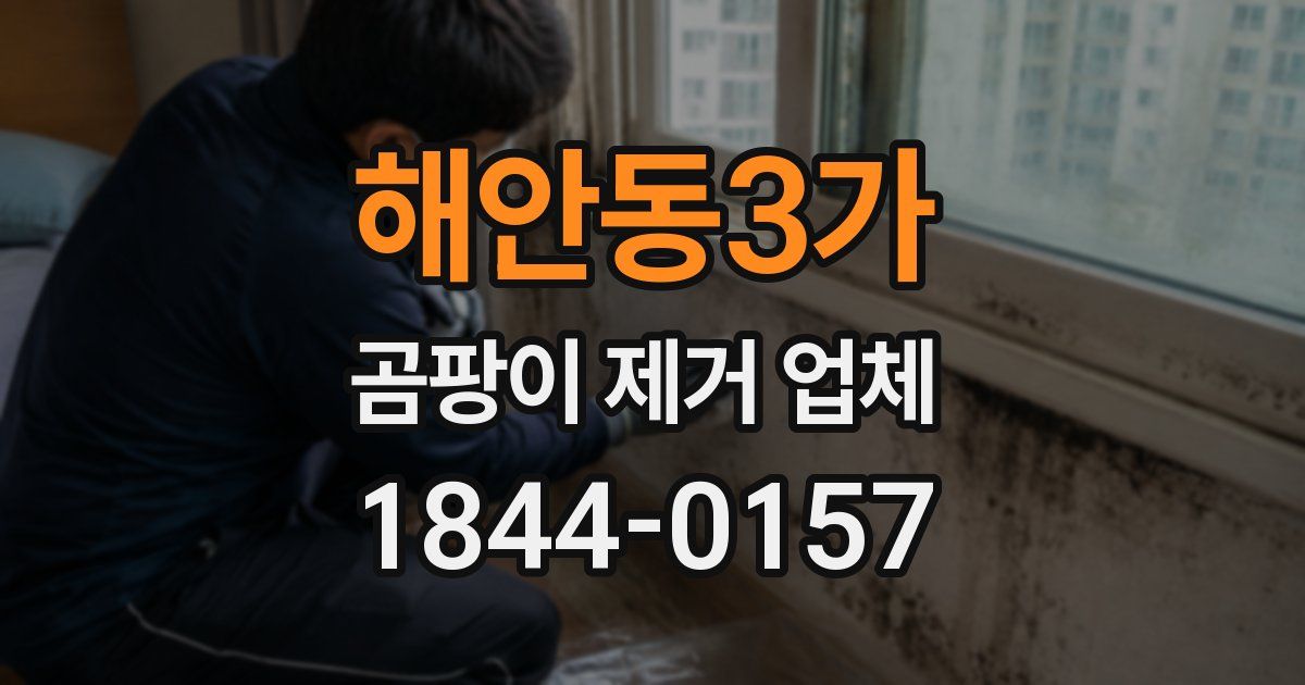 해안동3가 곰팡이 제거 업체