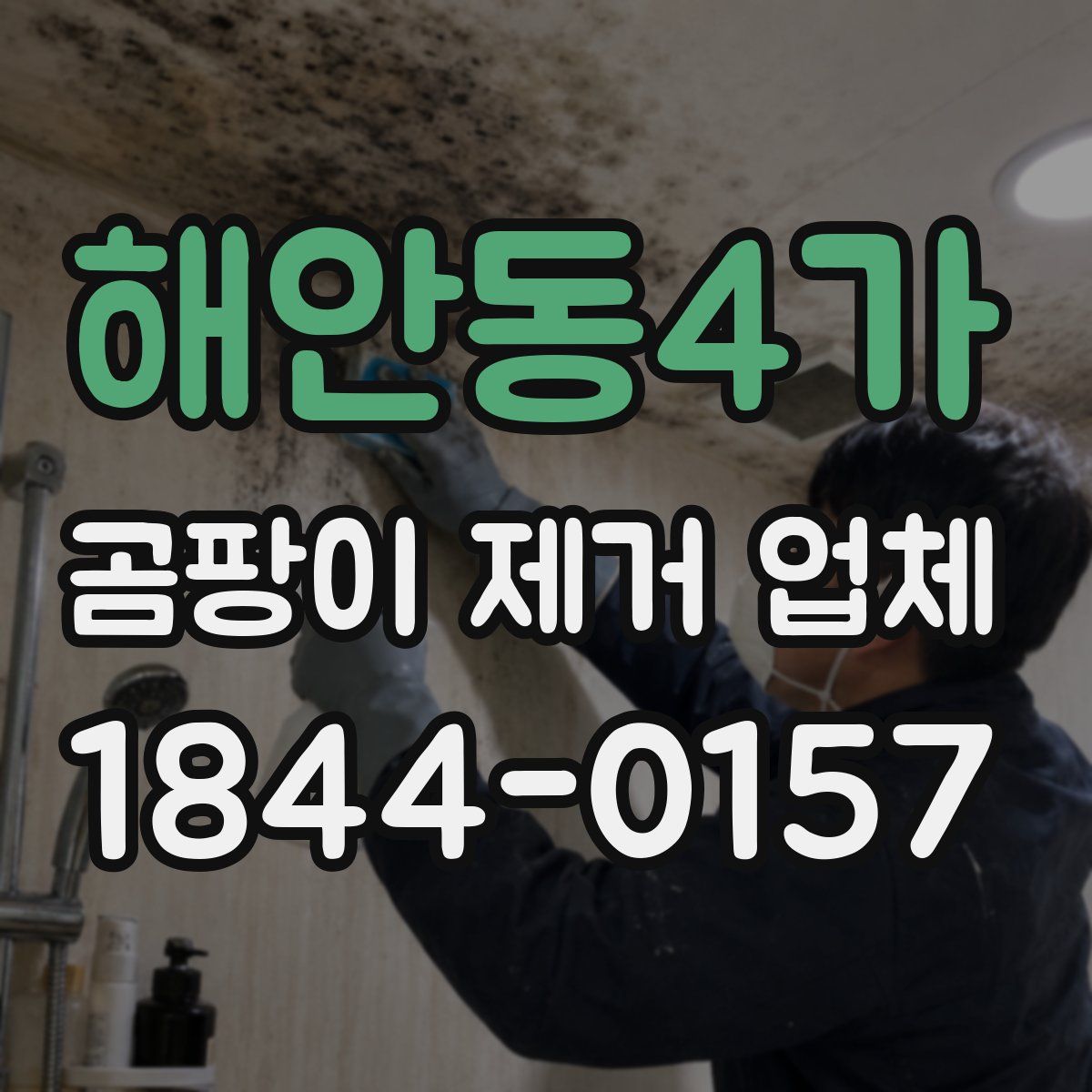 해안동4가 곰팡이 제거 업체