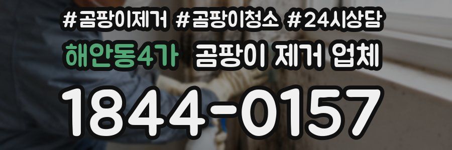 해안동4가 곰팡이 제거 업체