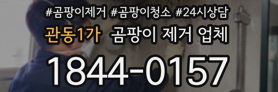 관동1가 곰팡이 제거 업체